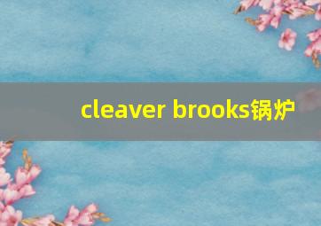 cleaver brooks锅炉